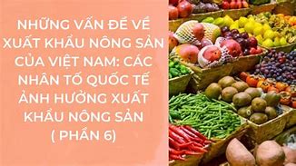 Những Loại Nông Sản Xuất Khẩu Tại Việt Nam Hiện Nay Là Gì Wikipedia